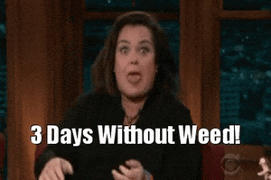 dude778778 weed rosie odonnell GIF