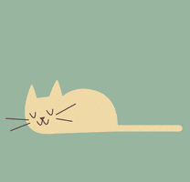 cats sleep GIF by Christina Lu