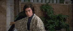 martial arts hello GIF by Shaw Brothers