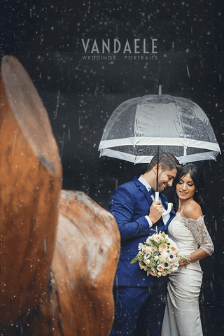 shawnvandaele love kiss loop couple GIF