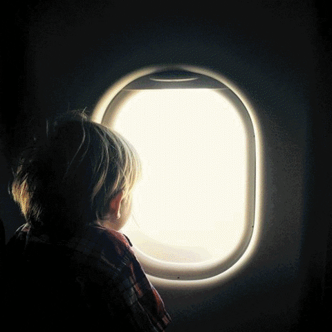 oof airplane travel windows metagram flight GIF