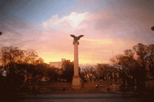 memo pan frases gloria memo GIF