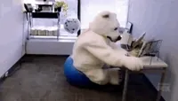 polar bear oops GIF by Fox TV