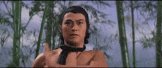 martial arts training GIF by Shaw Brothers