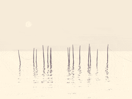 water moon GIF by Allison House