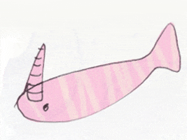 Narwhal GIF by Dianna Xu