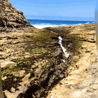 200.gif?cid=fc005b08768096128ef51199419e46018b8cd203547da9ae&rid=200.gif&ct=g
