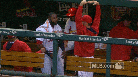 St. Louis Cardinals GIFs - Find & Share on GIPHY