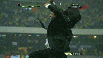 normanvaras miguel herrera piojo GIF