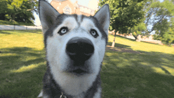200.gif