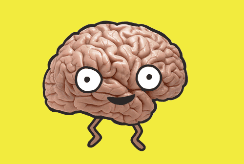 Brain GIFs - Get the best GIF on GIPHY