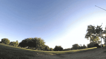 chrisslowik tree fast whoa fpv GIF
