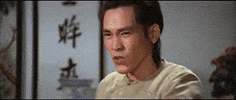 martial arts GIF by Shaw Brothers