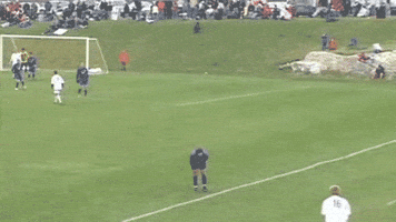soccer fail GIF by America's Funniest Home Videos