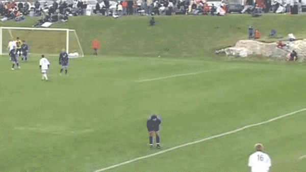 [Image: giphy.gif?cid=790b7611875592603e6653907e...f&ct=g]