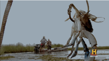 history channel water GIF by Endemol Beyond