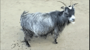 200.gif?cid=fc005b0848ceb920044125dec2e111fa98e744b580b648db&rid=200.gif&ct=g