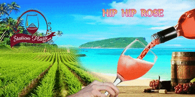 karthick  GIF