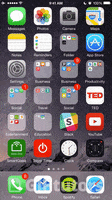 200.gif?cid=fc005b0897c3c02842dcc175de6a36e903b99cce186c49d6&rid=200.gif&ct=g