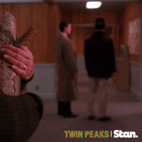 twin peaks GIF by Stan.