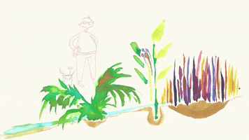 Cat Kitten GIF by esmeanimates 