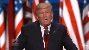 donald trump rnc GIF by Election 2016