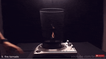 alisun  GIF