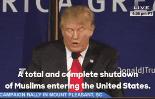 hfa-hq trump donald trump trump2016 GIF