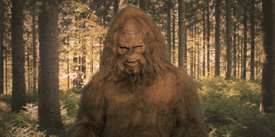200.gif
