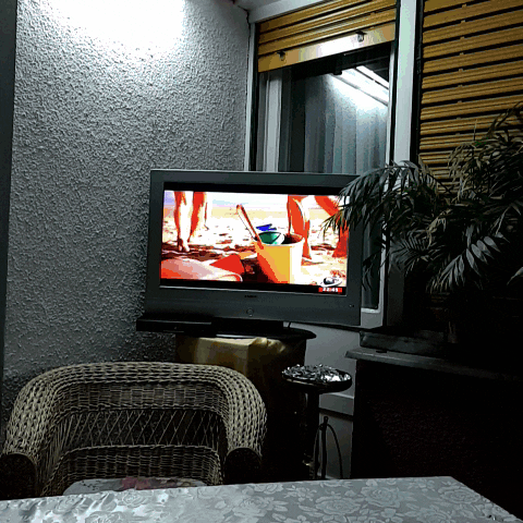 marius33grdyahoocom  GIF