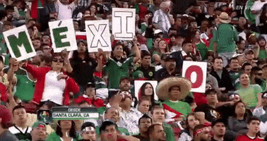 copa america centenario mexico GIF by Univision Deportes