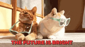  cat future sunglasses future is bright GIF