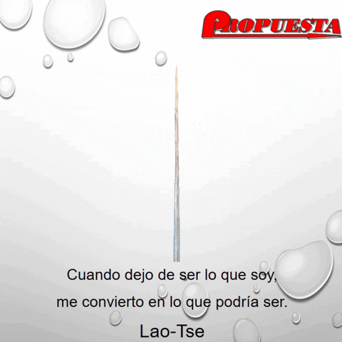 propuesta lao tse GIF