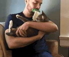 janapluscelso  GIF