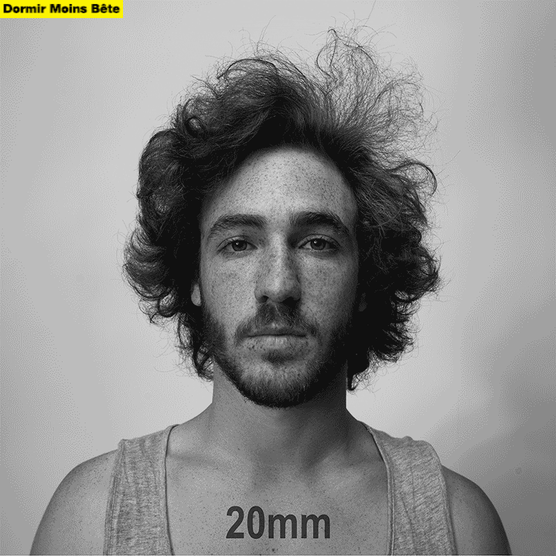 factslab objectif canon GIF