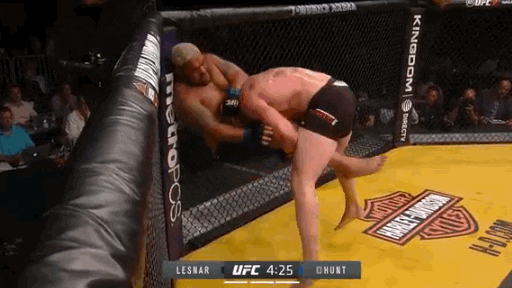 Brock Lesnar GIF by UFC - Find & Share on GIPHY