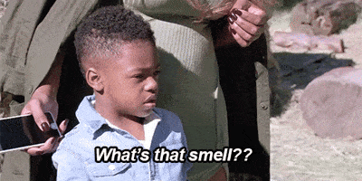 Image result for TERRIBLE SMELL cartoon GIFS