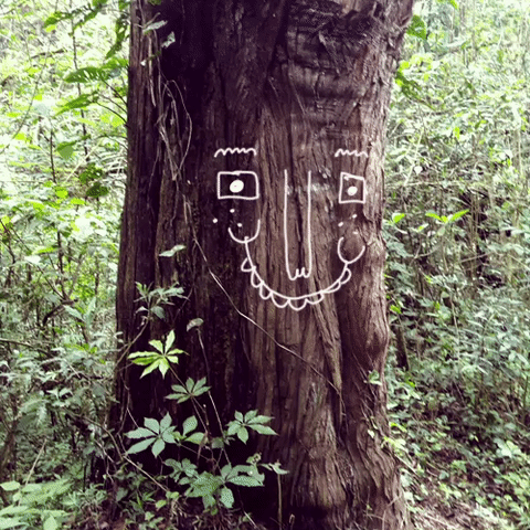 Has trepado un árbol alguna vezTe has caído de uno