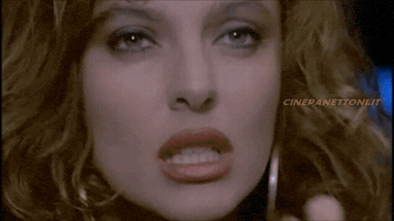 cinepanettoni cala cinepanettoni.it jerry calÃ  cinepanettoni GIF