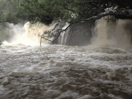 geoffrey twin falls pre darby GIF