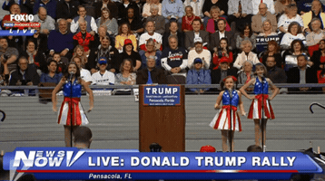 alfredwkng donald trump rally GIF