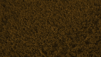 dat  GIF