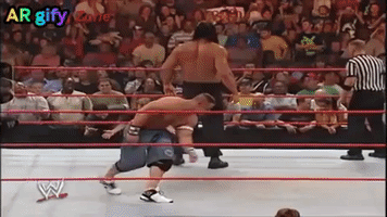Wrestling GIF