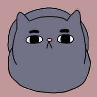 cat staring GIF by Sherchle