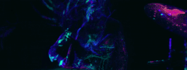 Wait For Love Pianos Band GIF by Pianos Become The Teeth