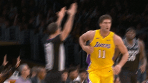 brook lopez lakers GIF by NBA