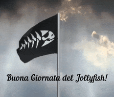 Pirate Cpi GIF by Chiesa Pastafariana Italiana 