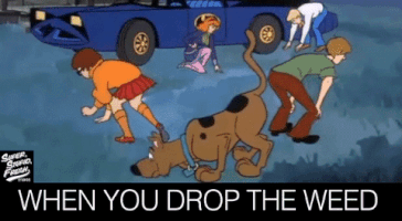 For It Weed GIF