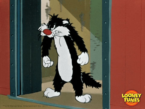 Sylvester Gifs Get The Best Gif On Giphy