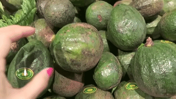 Thailand Thai Food GIF